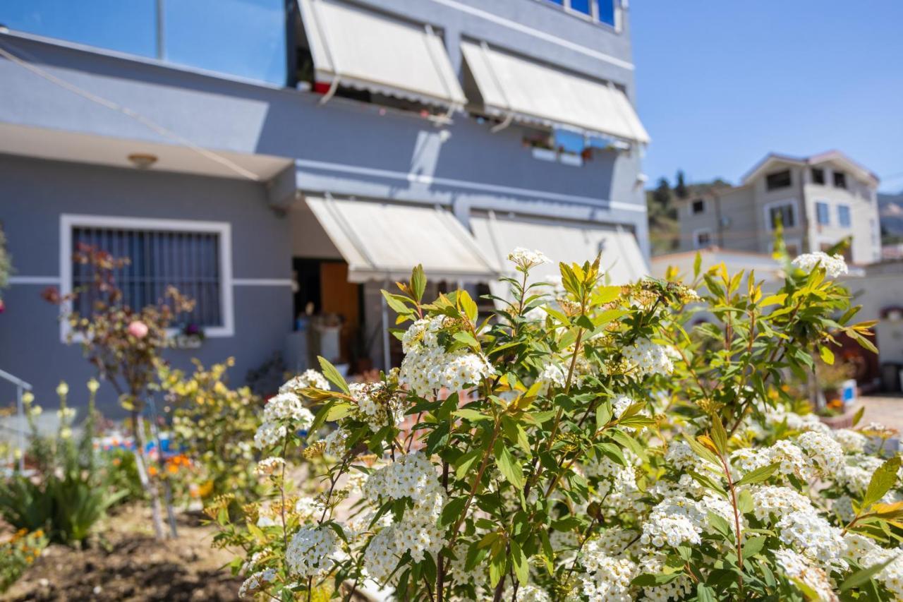 Vila Aulona Vlorë 외부 사진