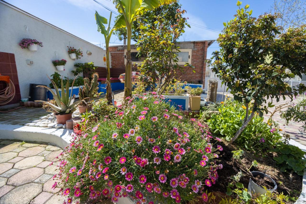 Vila Aulona Vlorë 외부 사진